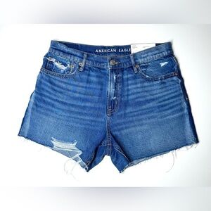 American Eagle Outfitters Blue Jean Relaxed  Shorts Distressed Cut-Off Size- 2